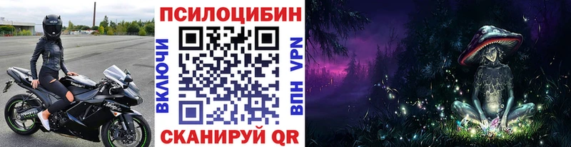 blacksprut вход  Магас  Псилоцибиновые грибы Psilocybe 